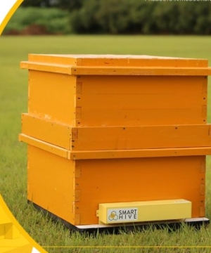 Automated Beehive Gate